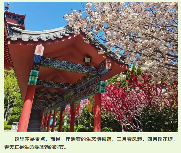 微信图片_20250314084527.png